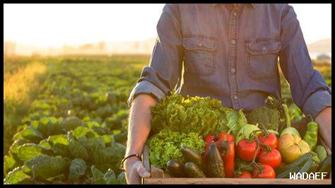 ما هي أساليب الزراعة العضوية وفوائدها على البيئة