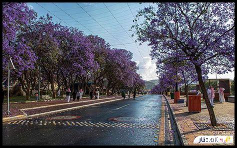 ما هي أفضل الأماكن السياحية المرتبطة بالبروسي ما هي أفضل الأماكن السياحية المرتبطة بالبروسي