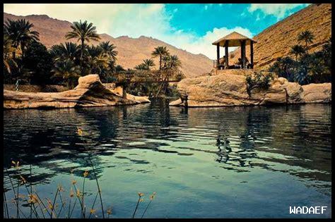 ما هي أفضل الحدائق للزيارة في دبي اليوم؟