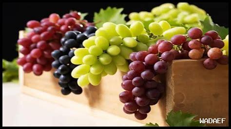 ما هي أفضل النصائح لنقل نبيذ Sangiovese بأمان؟ ما هي أفضل النصائح لنقل نبيذ Sangiovese بأمان؟