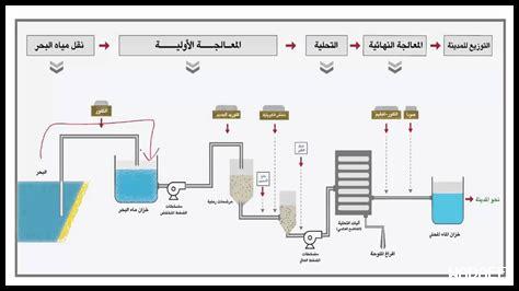 ما هي أفضل وصفات استخدام مياه الأشواغاندا