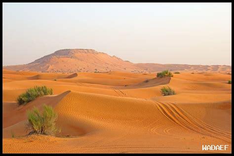 ما هي أهم العوامل المؤثرة في طعم غاليت دي روا؟ ما هي أهم العوامل المؤثرة في طعم غاليت دي روا؟
