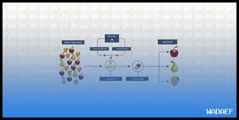ما هي أهمية البيانات المميزة في التعلم الخاضع للإشراف