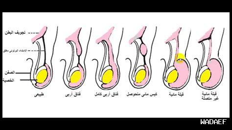 ما هي إنجازات الأطفال والشباب في سواف؟