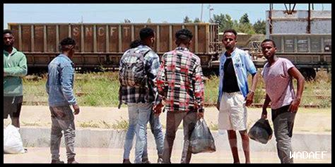 ما هي الأخبار الرائجة في بارولو