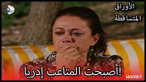 ما هي الأخبار المتعلقة بالبيئة في سان هونوريه؟