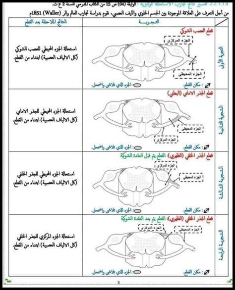 ما هي العلاقة بين الألوان