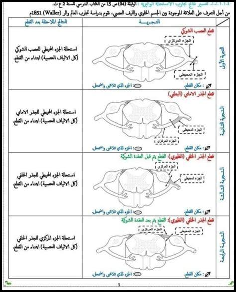 ما هي العلاقة بين شبكات الخصومة التوليدية والتعلم الآلي؟