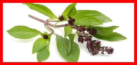 ما هي الفوائد الصحية لارتداء مجوهرات سولاس ما هي الفوائد الصحية لارتداء مجوهرات سولاس