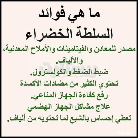 ما هي المكونات الأساسية لطبق تاكوياكي؟ ما هي المكونات الأساسية لطبق تاكوياكي؟