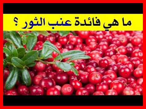 ما هي عائلة عنب Sangiovese وخصائصه؟ ما هي عائلة عنب Sangiovese وخصائصه؟