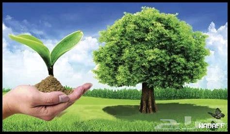 ما هي فوائد الزراعة الحضرية وكيفية البدء فيها