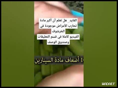 هل شراشف التأريض تقاوم الأمراض المزمنة