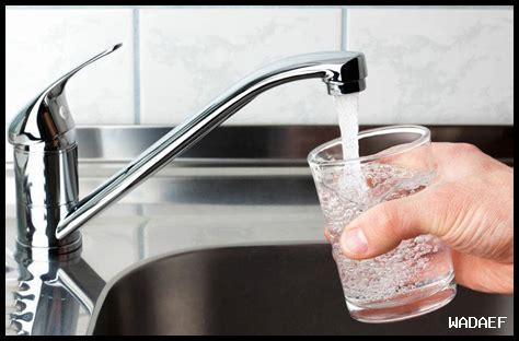 هل مياه الأشواغاندا مناسبة للنباتيين