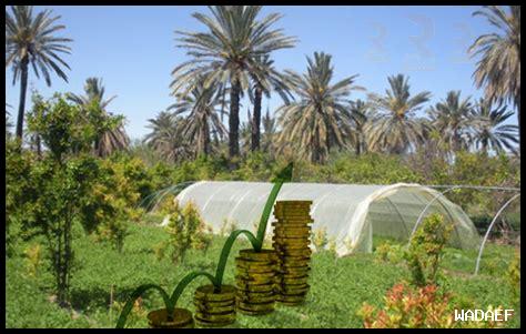 هل يمكن أن تتراجع قيمة الاستثمارات العقارية؟ هل يمكن أن تتراجع قيمة الاستثمارات العقارية؟