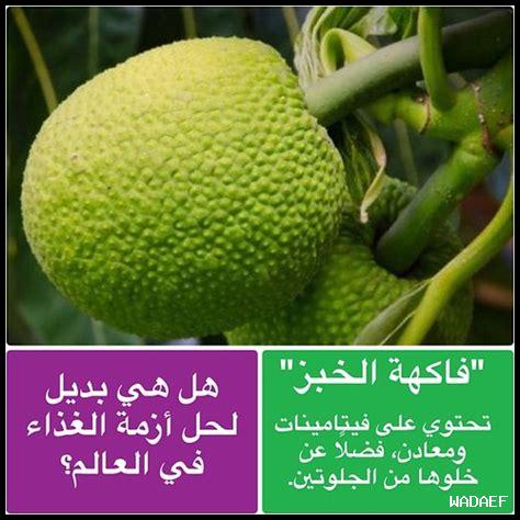 هل يمكن استخدام البروسيكو كبديل في وصفات الطعام؟ هل يمكن استخدام البروسيكو كبديل في وصفات الطعام؟