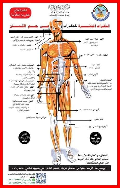 – تأثير رانيتيدين على الجهاز الهضمي - تأثير رانيتيدين على الجهاز الهضمي