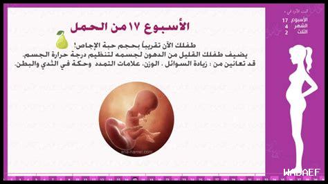 ألم أسفل البطن في الأسبوع 17 من الحمل