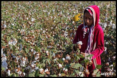 كيف تواجه النساء المسلمات التمييز بسبب الحجاب؟ كيف تواجه النساء المسلمات التمييز بسبب الحجاب؟