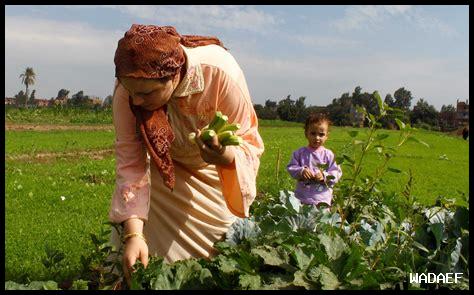 كيف يؤثر الإعلام على حقوق النساء المحجبات في المجتمع كيف يؤثر الإعلام على حقوق النساء المحجبات في المجتمع