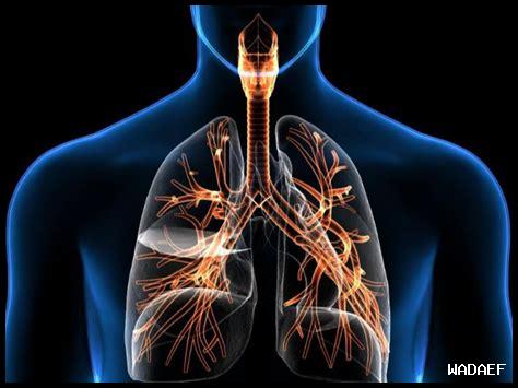 كيف يؤثر فيكسوفينادين على الجهاز التنفسي كيف يؤثر فيكسوفينادين على الجهاز التنفسي