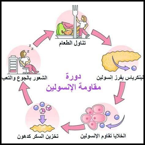 كيف يمكن للأنسولين أن يساهم في الوقاية من الأمراض؟