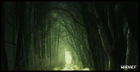 كيف يمكن للموضة أن تساهم في حماية البيئة؟