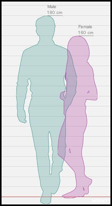 ما الفرق بين فالسارتان والعقاقير الأخرى؟ ما الفرق بين فالسارتان والعقاقير الأخرى؟