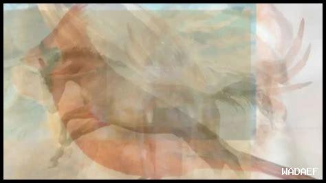 ما هي أهمية التفاهم في القيم مع شريك حياتك