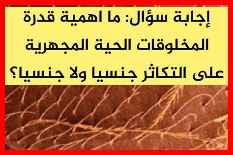 ما هي أهمية التوافق الجنسي في تعزيز الحميمية ما هي أهمية التوافق الجنسي في تعزيز الحميمية