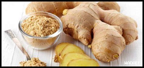 ما هي الأعشاب التي تحسن التوافق الجنسي