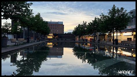 ما هي البدائل الطبيعية لباراسيتامول؟