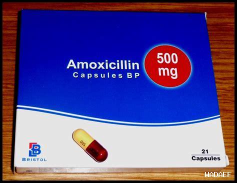 ما هي التحذيرات الطبية لاستخدام أموكسيسيلين؟