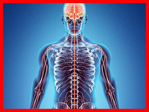 ما هي الصفات الأساسية التي تجعل الإنسان مغريًا؟ ما هي الصفات الأساسية التي تجعل الإنسان مغريًا؟