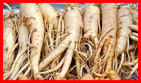 ما هي العلاجات الطبيعية للمشاكل الجنسية؟ ما هي العلاجات الطبيعية للمشاكل الجنسية؟