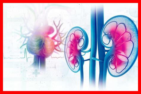 ما هي العلاقة بين إيميبرامين والمشاكل القلبية؟ ما هي العلاقة بين إيميبرامين والمشاكل القلبية؟