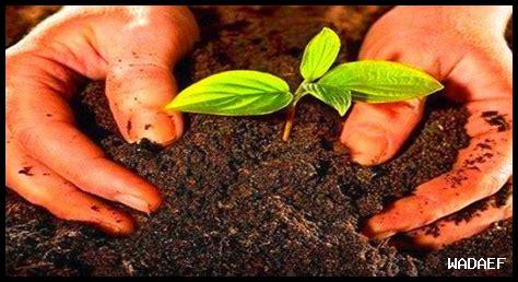 ما هي العوامل المؤثرة في خصوبة المرأة؟