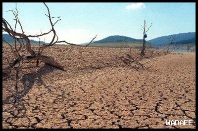 ما هي تأثيرات التغير المناخي على حقوق الإنجاب؟