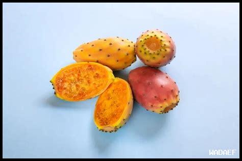 هل التين الشوكي يرفع السكر