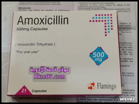 هل هناك بدائل طبيعية لأموكسيسيلين؟