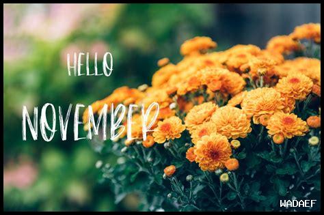 4 نوفمبر اي شهر