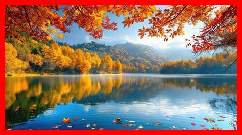 أين يمكنني الاستمتاع بأوراق الشجر الخريفية الخلابة؟ أين يمكنني الاستمتاع بأوراق الشجر الخريفية الخلابة؟