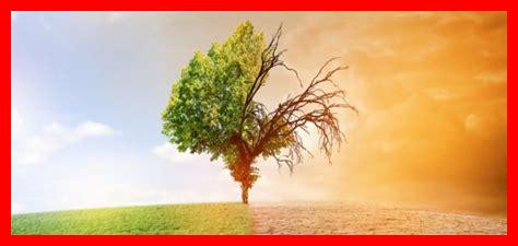 كيف يؤثر الاحتباس الحراري على بقاء النباتات في الخريف؟ كيف يؤثر الاحتباس الحراري على بقاء النباتات في الخريف؟