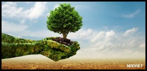 كيف يمكن للتقنيات البيئية الجديدة مواجهة تغير المناخ في الزراعة في الخريف؟