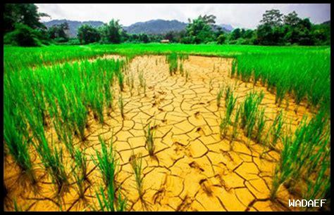 ما مدى تأثير العواصف المتزايدة بسبب التغيرات المناخية على المزارعين في الخريف؟