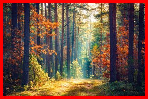 ما هو أسلوب الحياة الشائع في خريف 2024؟ ما هو أسلوب الحياة الشائع في خريف 2024؟