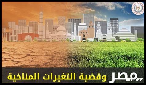 ما هو دور الأبحاث العلمية في التخفيف من تأثيرات التغيرات المناخية على الزراعة في الخريف؟