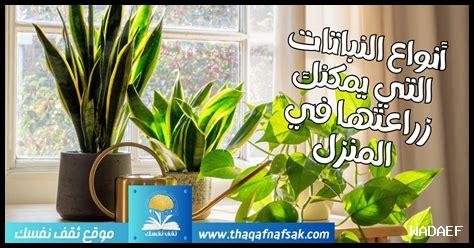 ما هي النباتات التي يمكن استخدامها لتعزيز أجواء هالوين؟