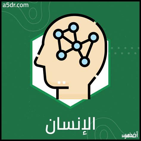 الثقافة تبني الإنسان المتكامل