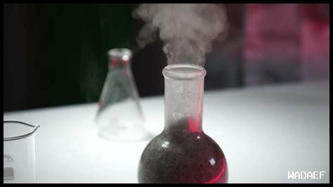 – هل الحكمة تأتي بالتأمل